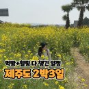 새별수산 | 제주도 2박3일 커플여행 코스 먹방+힐링 다 챙긴 일정