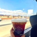 윈드힐(Wind Hill) | LA 근교 여행 조슈아트리 별 스팟 투어 일정 10월 11월 날씨 월별 사진 맛집