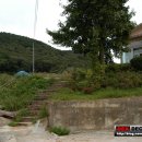 인천공항초등학교신도분교장 이미지