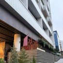 S호텔 | 아난티앳강남 캐빈S 4인 호텔 숙박후기(주차/수영장/조식/헬스장)