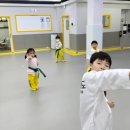 연포태권도장 이미지