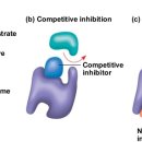 부산일과학고등학교 이미지