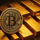 신화BTC