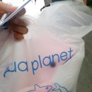 핑크벨루가