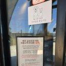 카페뜨레 - 송파구 풍성로25길 28 | [제주/한림/금악] 제주 애견카페 찾는다면 여기! 두부랑 몇 번을 가도 좋은 한림 금오뜨레