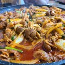가야산오리