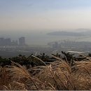 석대해운대우체국앞 이미지