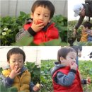 서준농장 이미지