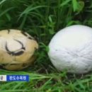 산내면 입석마을 이미지