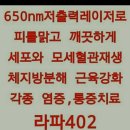 라파헬스