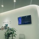 바른안과 | 서초 바른빛안과 vs 삼성역 예드림안과 고민