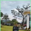 보매기길 | 강촌카페 숲 속 카페에서의 힐링 시간, 베이스캠프