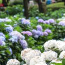 남원읍-44 이미지