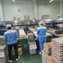 명진계란 이미지