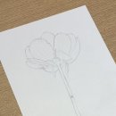 색연필로 그리는 꽃, 보태니컬 아트 | [현대백화점 압구정점 수업 안내] 색연필로 그리는 꽃과 열매, 보타니컬아트 5월