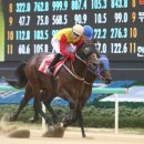 태영목장2 이미지