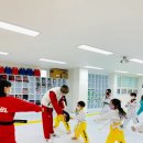 빛솔 태권도장 이미지