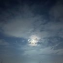 동동포구 이미지