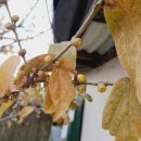 영천리 마을회관 이미지