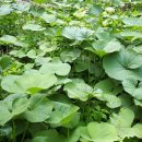 예정농장 이미지