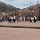 주호태권도 이미지