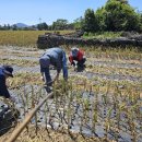 미력축산 이미지