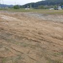 청원떡방앗간 | 2025 청원생명축제 9월 25일 방문 후기