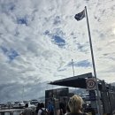 피츠로이(Fitzroy) | 케언즈 Fitzroy Island 스노클링 후기 | 거북이 본 피츠로이 아일랜드 여행 🐢🌊