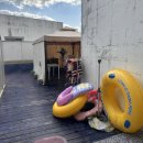 내강아지&내야옹이 | [대성리]가평 애견펜션 라스블랑카스 후기 — 스페인 감성에서 반려견과 함께 힐링 여행🐶✨