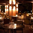 럭셔리애견사랑 이미지