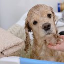 개린이미용실 이미지