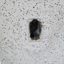 동화3차맨션아파트 | 항동 라이프비취맨션3차 초인종 교체 작업 후기