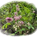 골뫼골명품마을 이미지