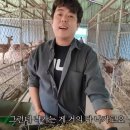 뱅골 | 강릉 쌍둥이동물원, 버려진 1200마리 동물 구조로 만든 기적