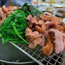 풍년오리박사