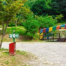 하기숲 캠핑장 이미지