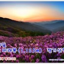 5월20일 전북남원 지리산바래봉(1,165m) 정기산행 안내 이미지