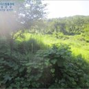 합성동103 이미지