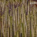 흥업대형타이어 이미지