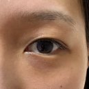 도도속눈썹 - 노원구 | 남포동속눈썹 도도미인 | 끊어지고 탄 속눈썹 복구 후기✨