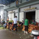 새(고경) 이미지