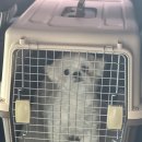 헬로우 그루밍 이미지