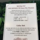 30초커피