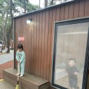 25호공원 | 변산반도 고사포 2 야영장, 특화하우스 25호 후기 (조개잡이 시간)