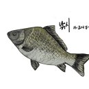 바위골 낚시터 이미지