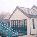 YELLOW HILL(옐로우 힐) 이미지