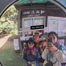 안덕면 상창리사무소 입구 | 제주곶자왈도립공원 코스 예약 소요시간 및 5월 자율 탐방 꿀팁