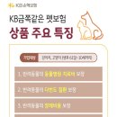 금쪽같은 내새끼 동물병원 이미지