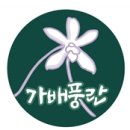 가배풍란