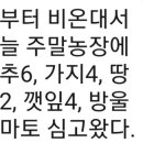 견우농장 이미지